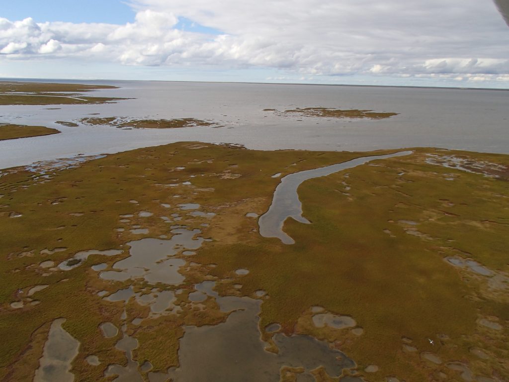 Aerial view of the Yuribey Delta (photo Didier Vangeluwe)